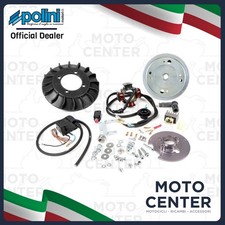 ACCENSIONE POLINI KG. 1,4